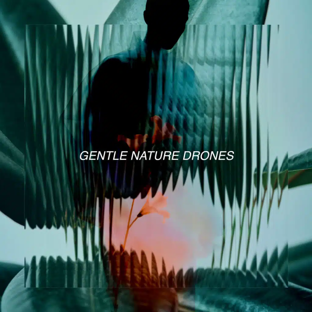 Gentle Nature Drones
