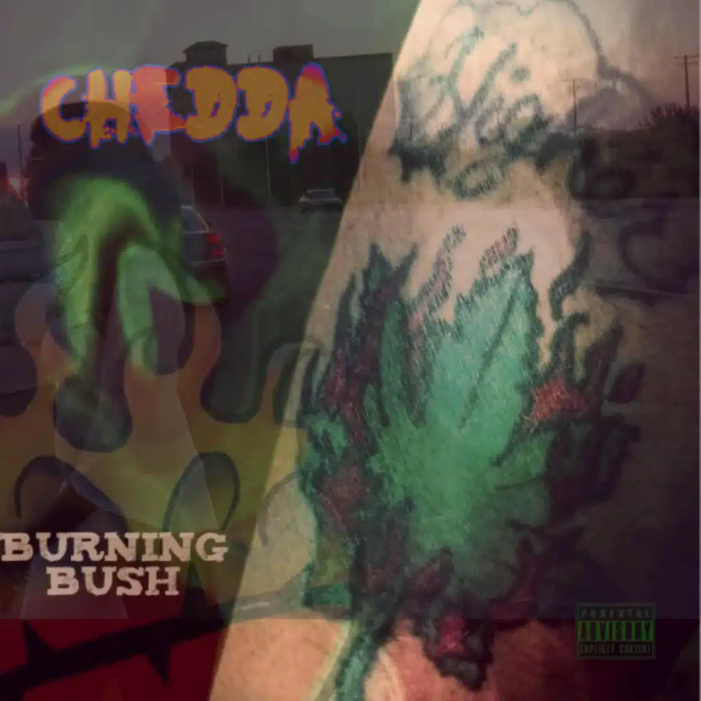 Chedda