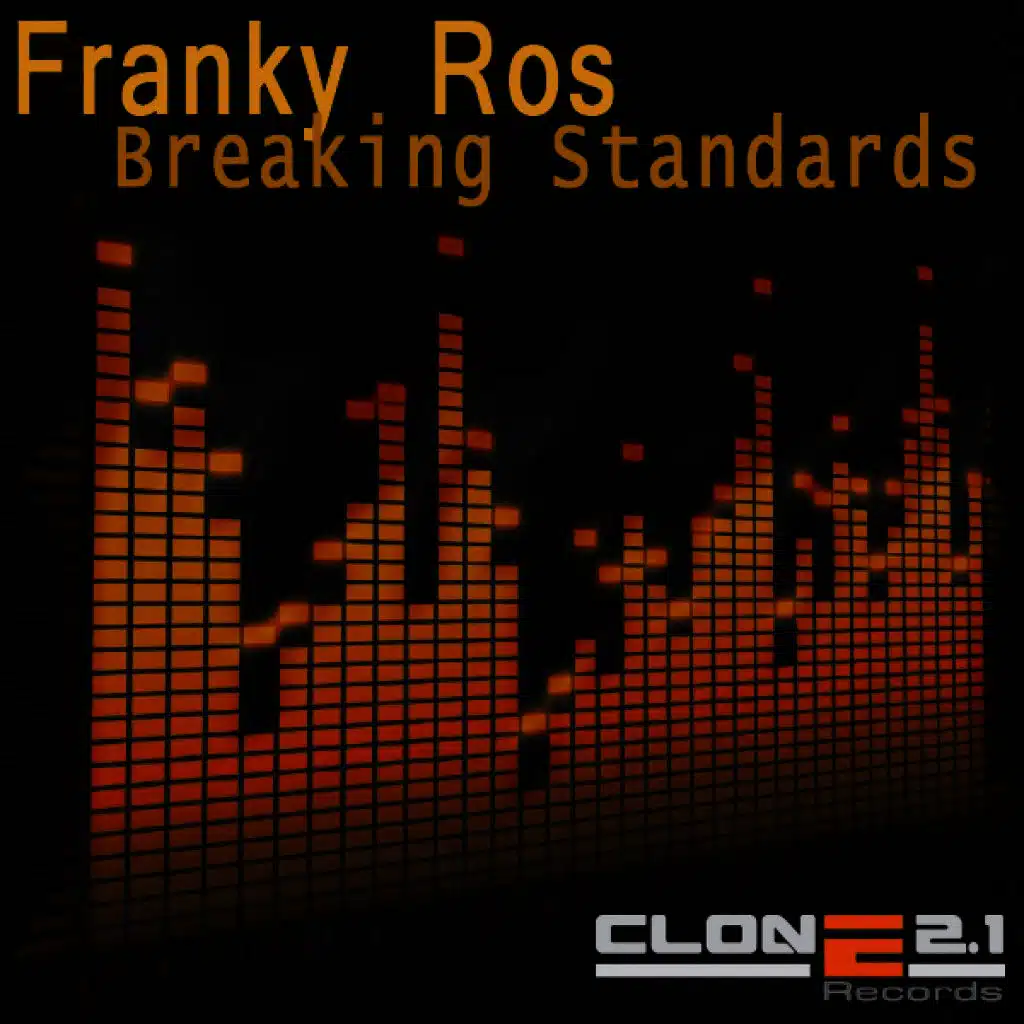 Breaking Standards (Original Remix)