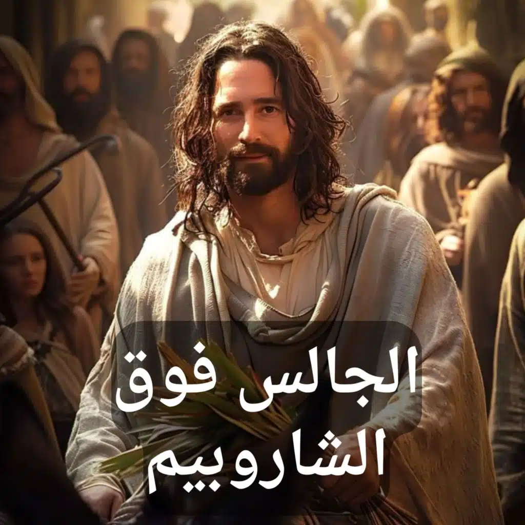 غالي سليم