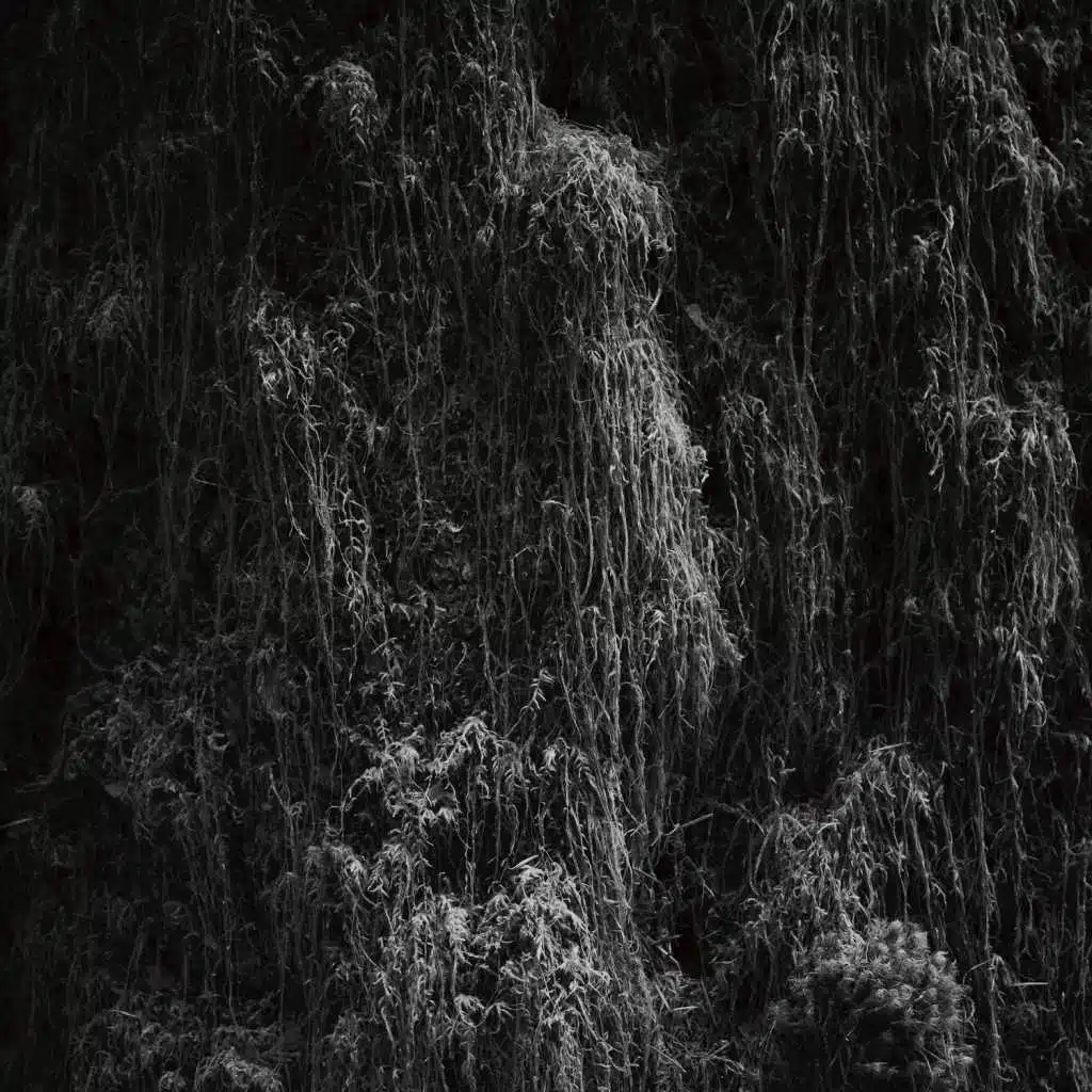 It Doesn't Matter If They're Guilty