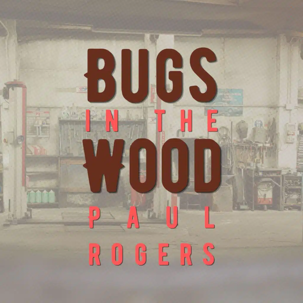 Bugs in the Wood