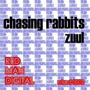 Chasing Rabbits (The PIX Remix)