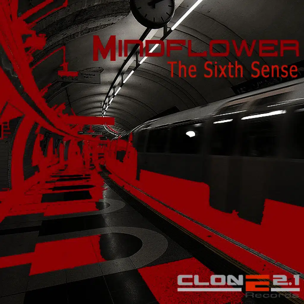 The Sixth Sense (Original Mix)