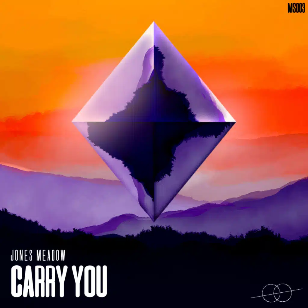 Carry You