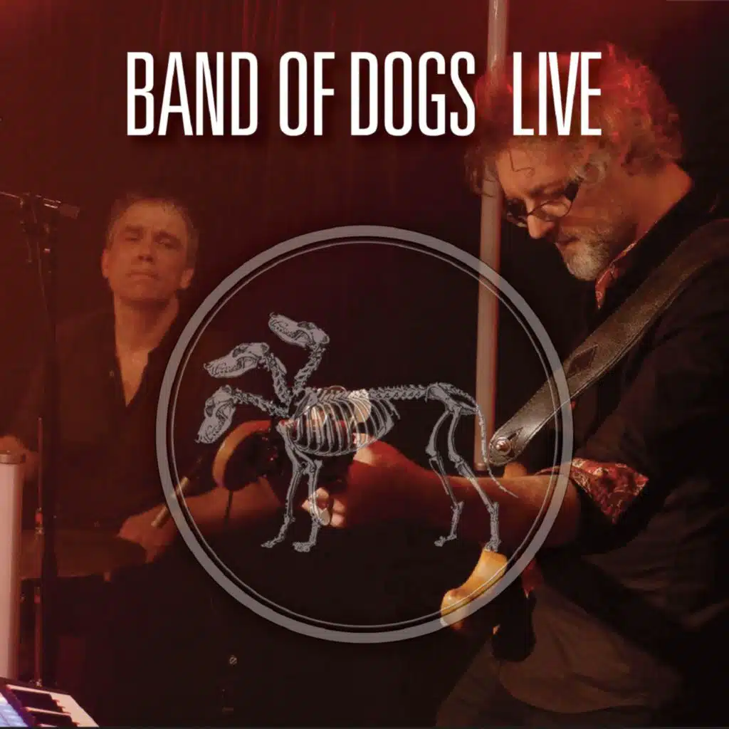 Band of Dogs Live (feat. Josef Dumoulin, Clément Janinet & Hugues Mayot)