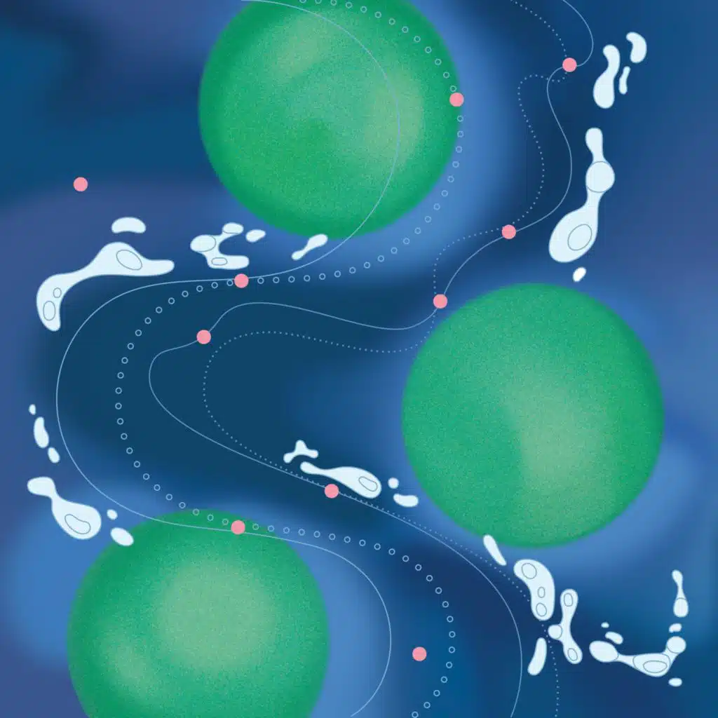 Archipelago