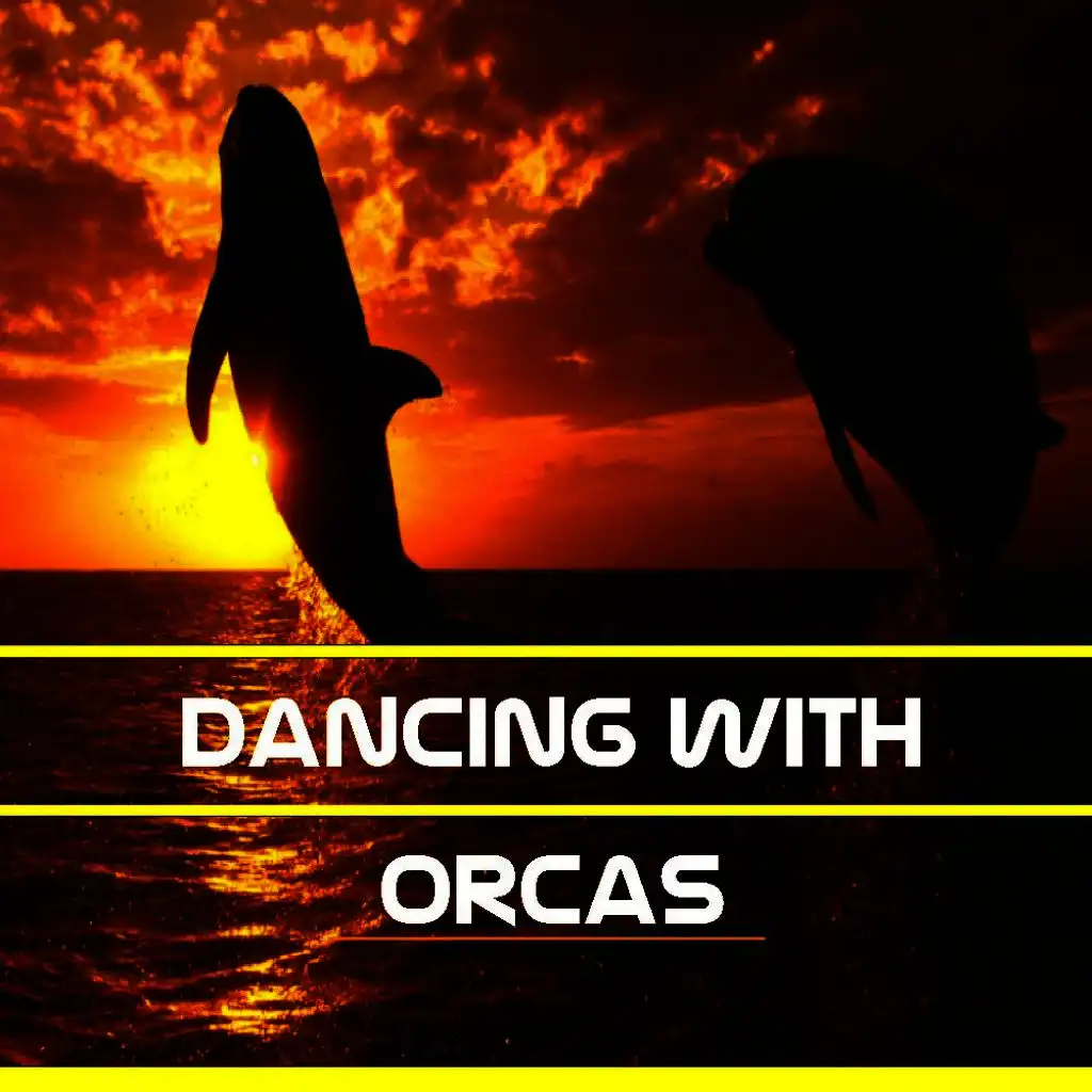 Dancing With Orcas