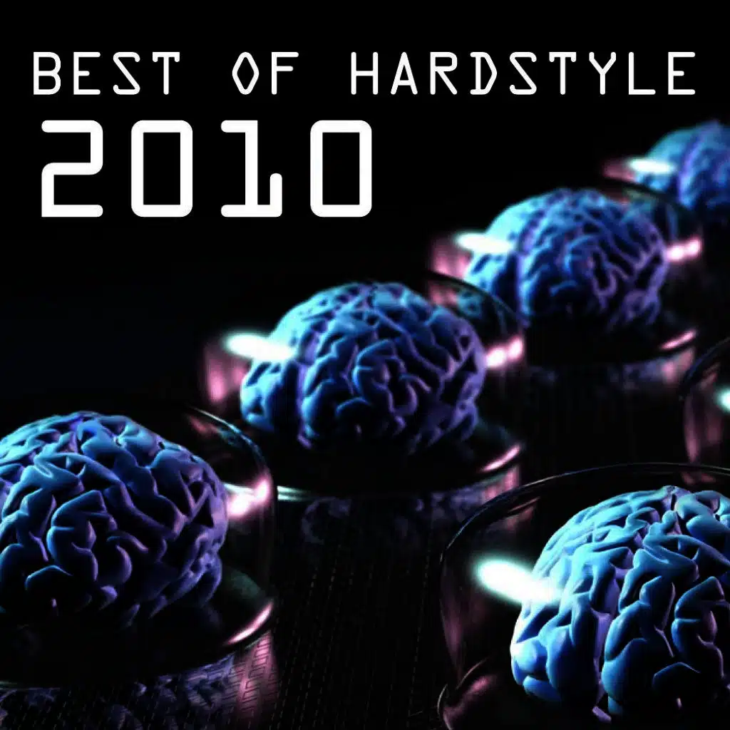 Best of Hardstyle 2010
