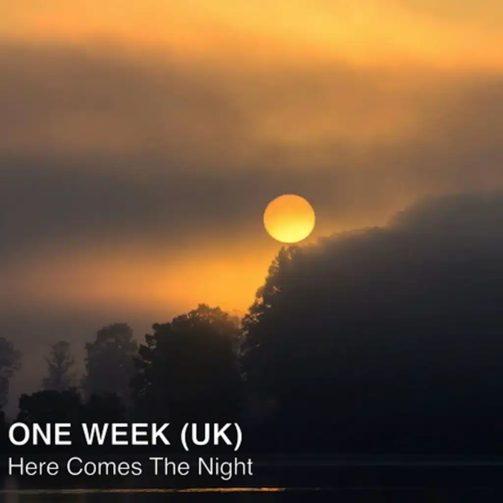 Here Comes the Night