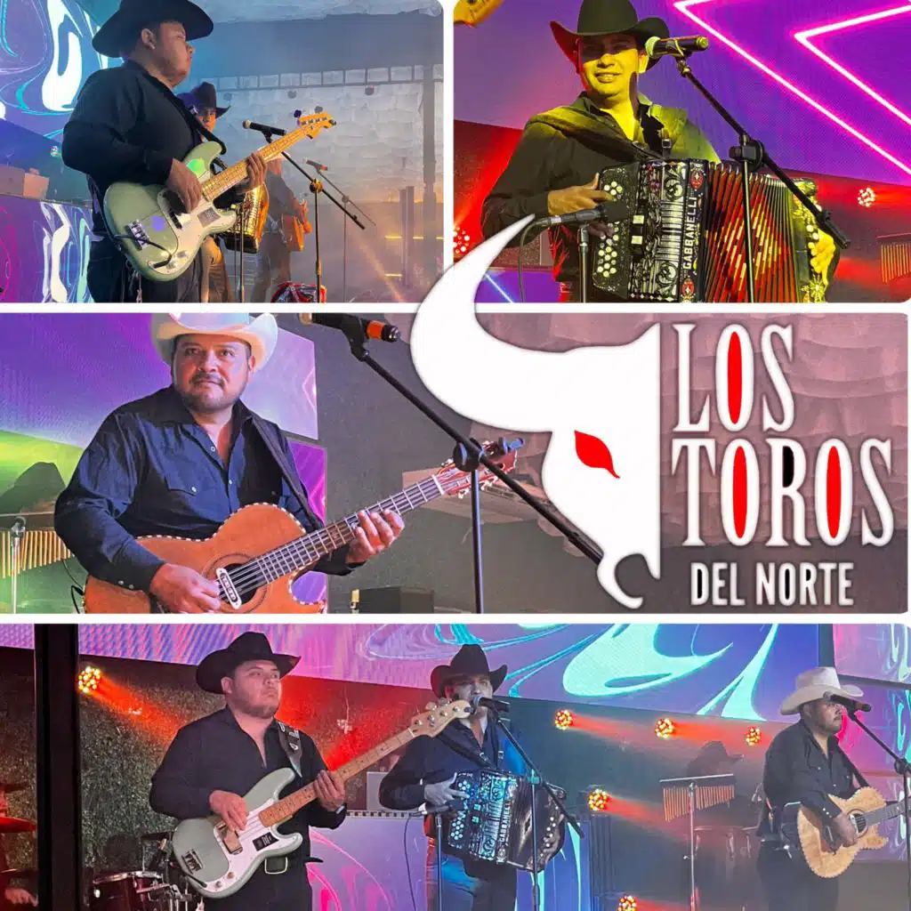 Los Toros en Vivo