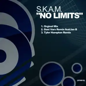 No Limits (Dani Vars Remix Feat. Ian B)