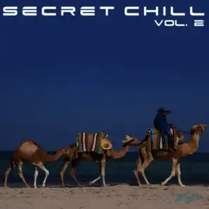 Secret Chill - Vol. 2