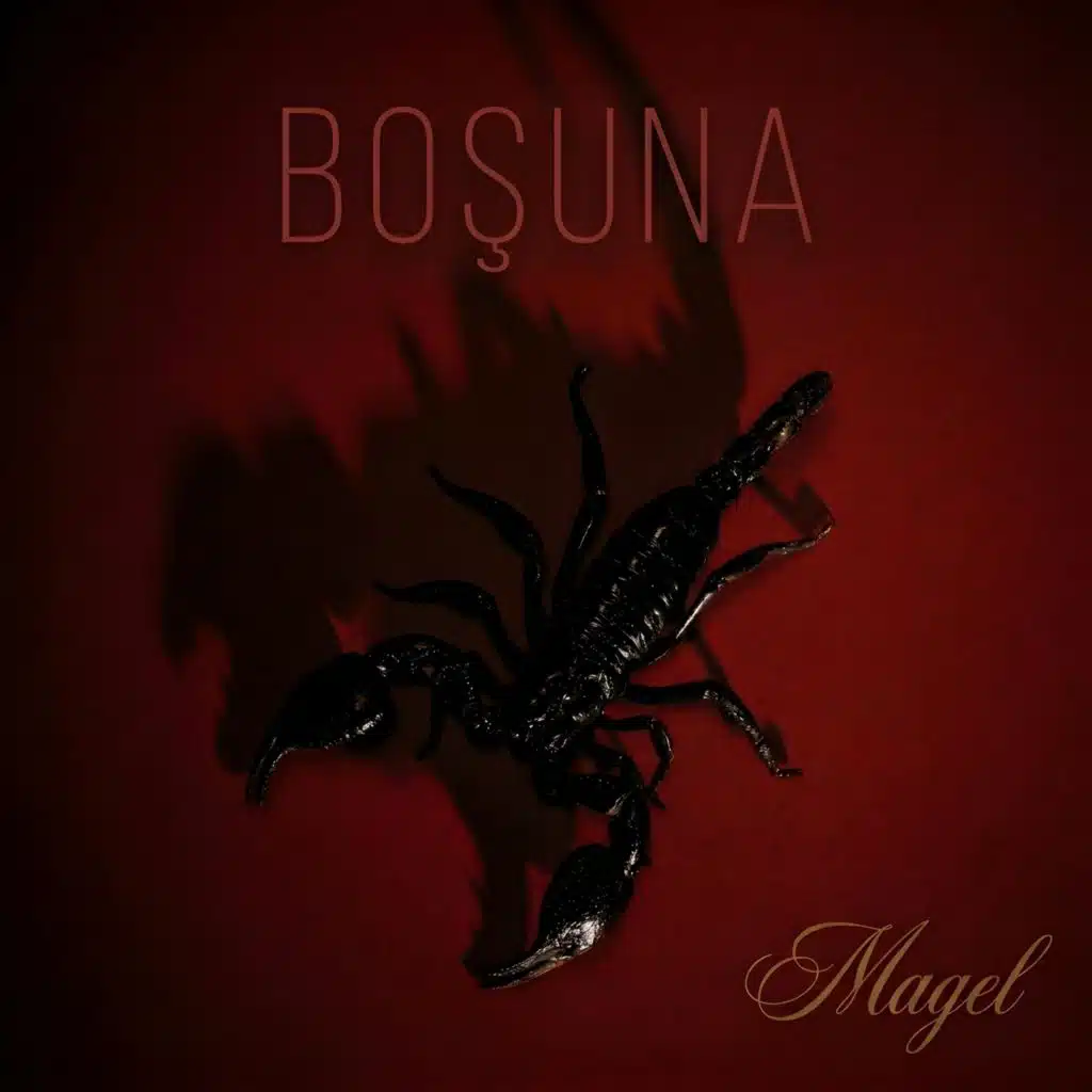 Magel