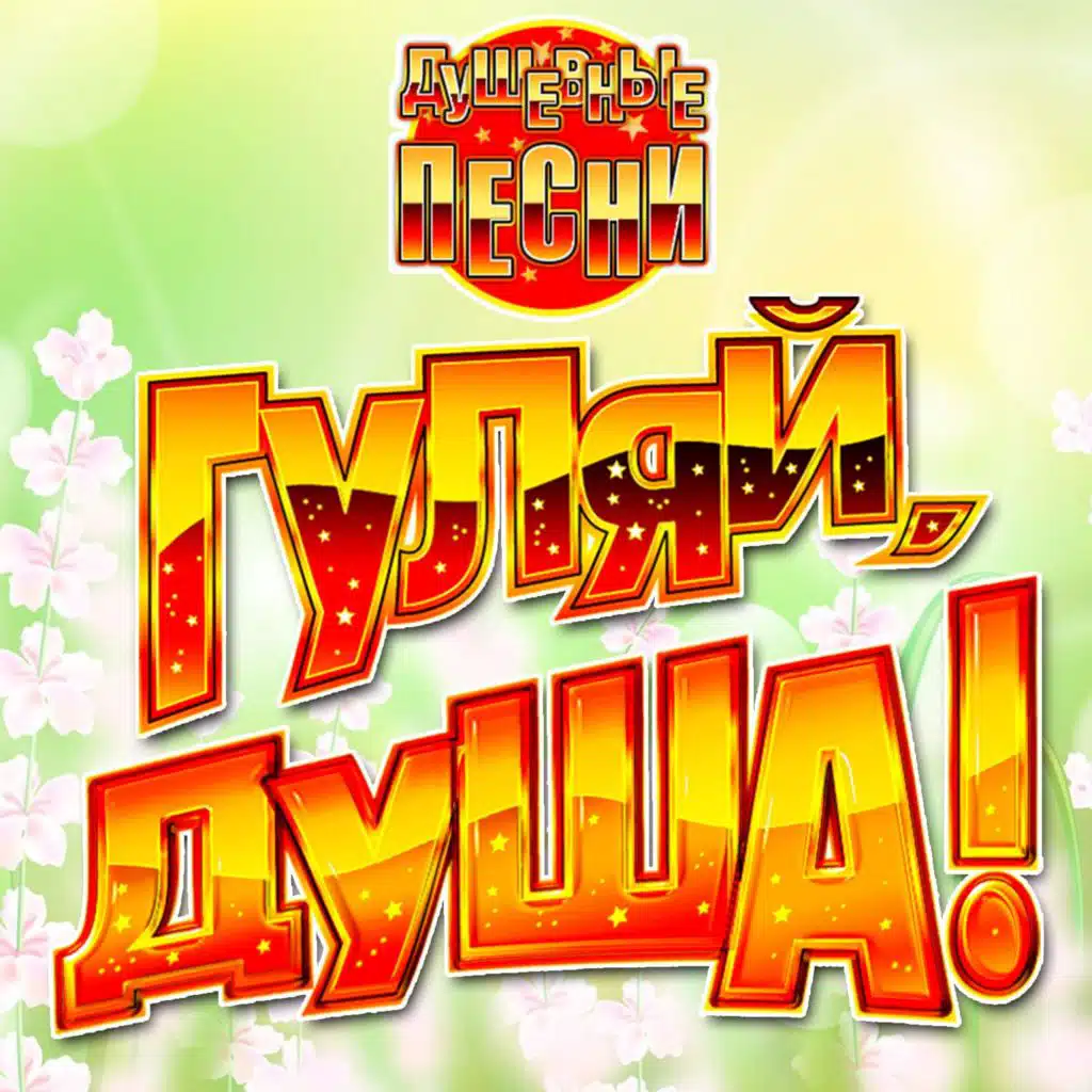 Гуляй, душа! (Душевные песни), Часть 19