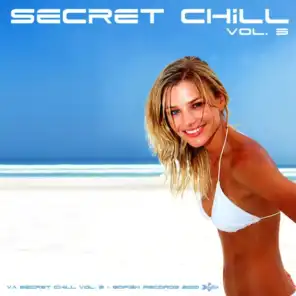 Secret Chill - Vol. 3