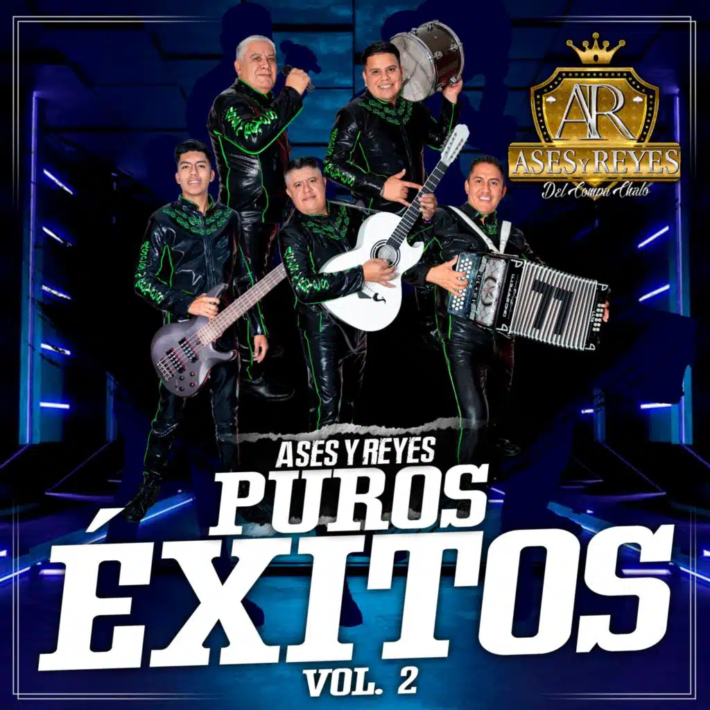 Puros Éxitos Vol. 2