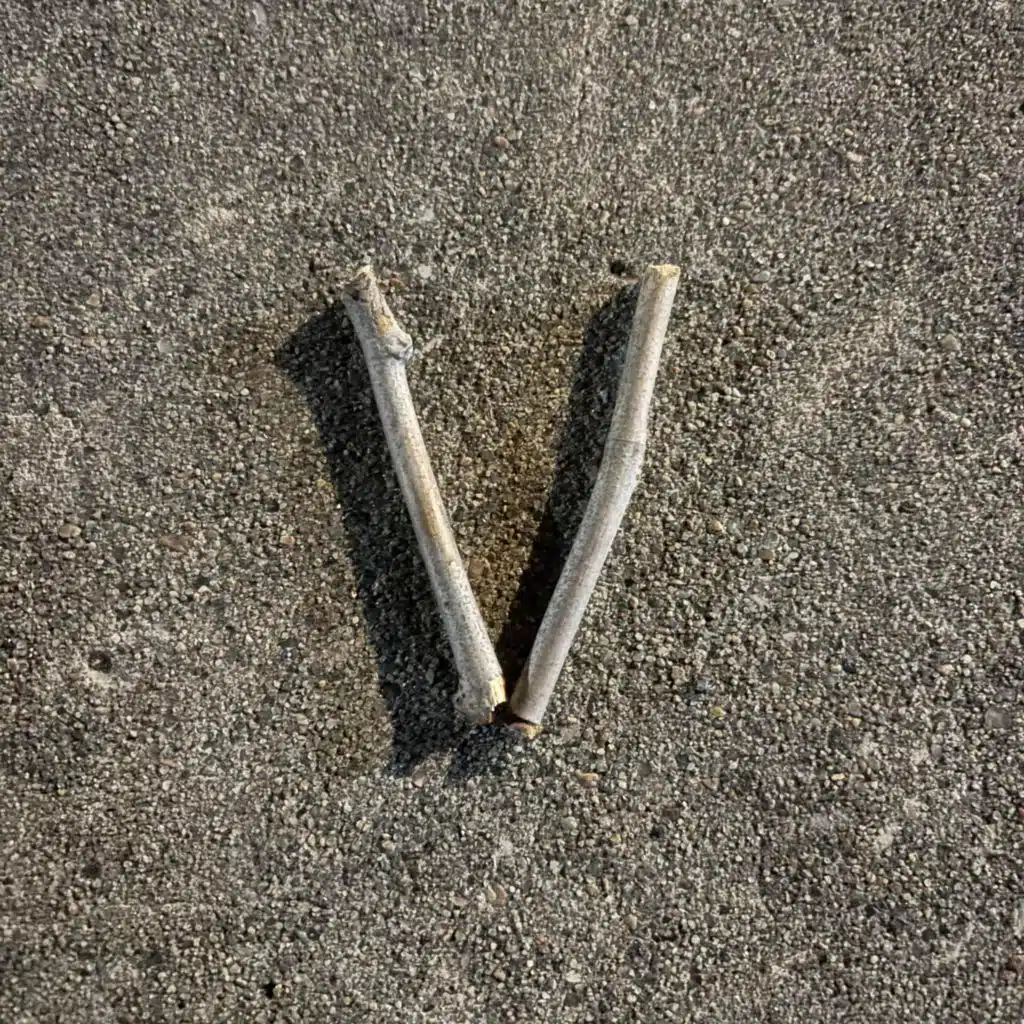 VINCIT