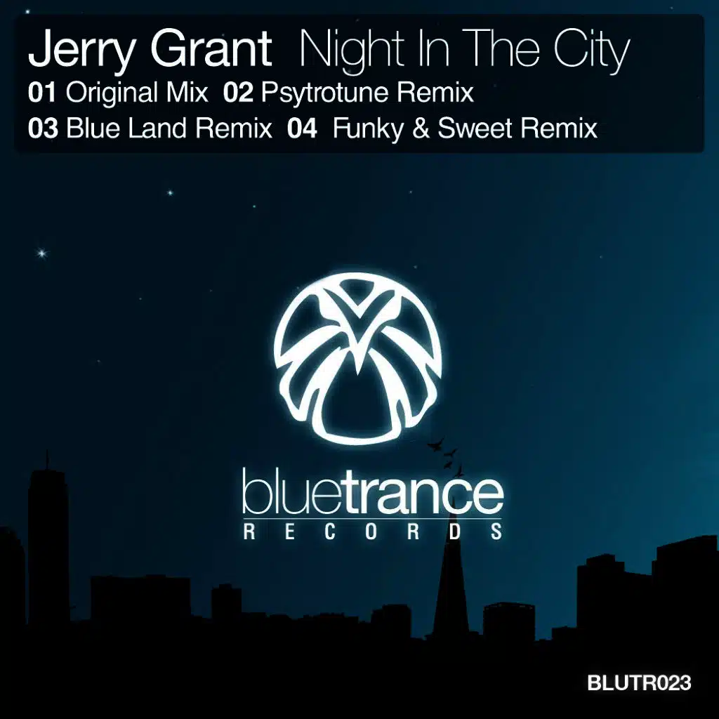 Night In The City (Funky & Sweet Remix)