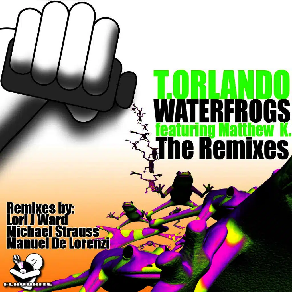 Water Frogs Feat Matthew K - The Remixes