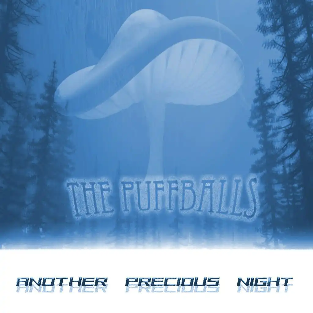 Another Precious Night (Original)