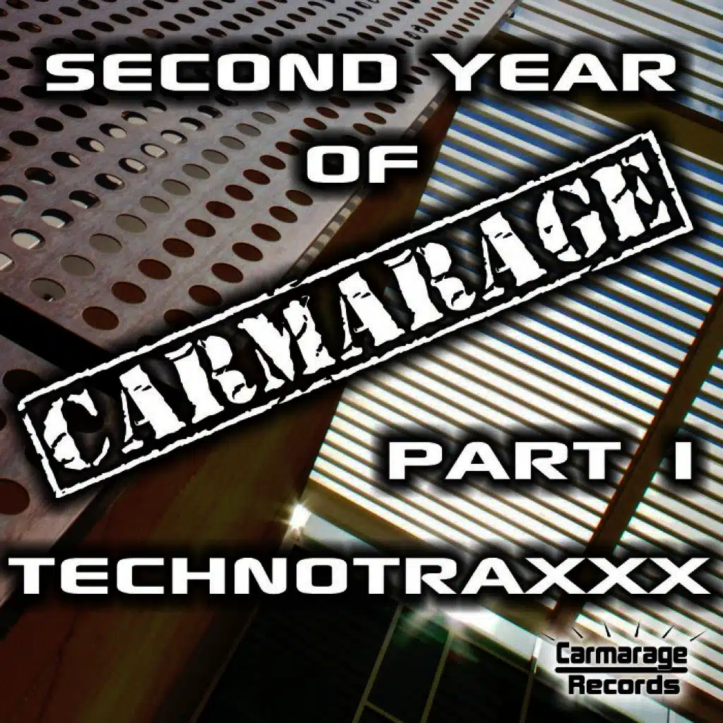 Second Year of Carmarage (Pt. 1)