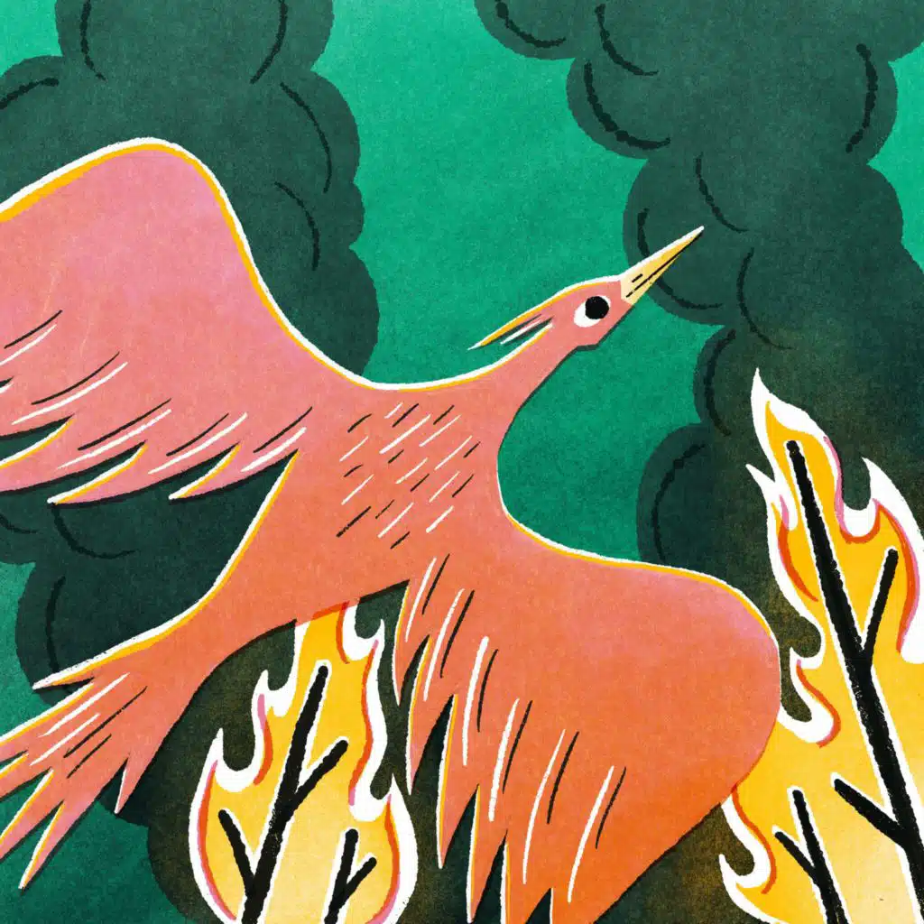 Phoenix Fire (A Mythological Adventure)