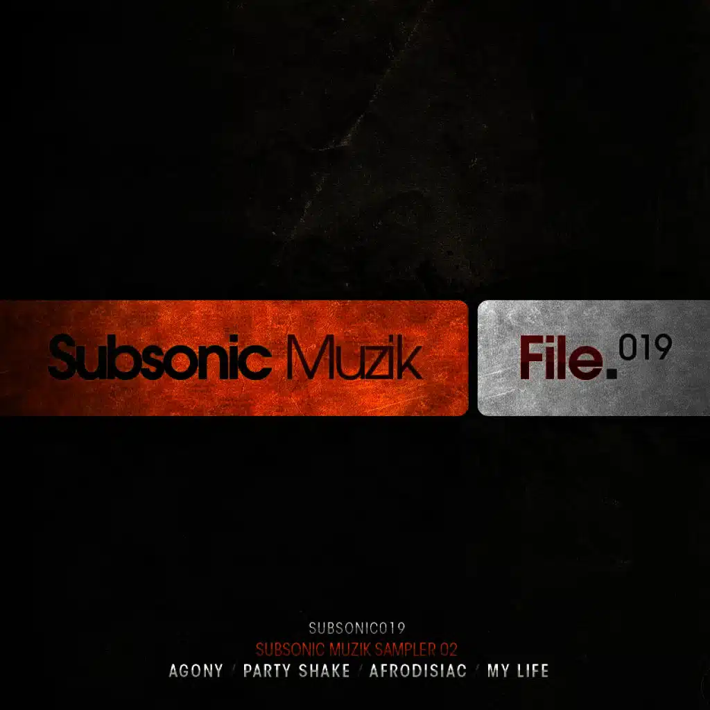 Subsonic Muzik Sampler 02