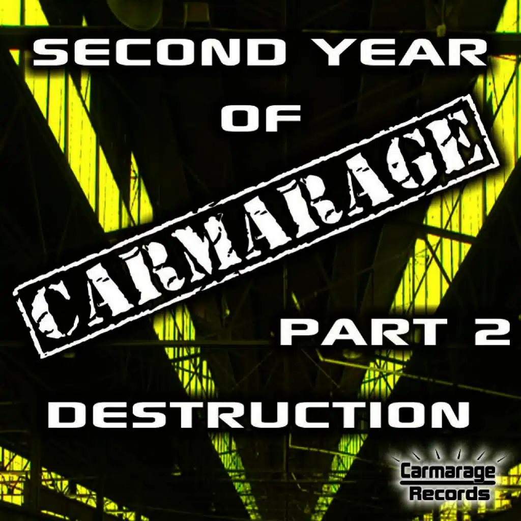Second Year of Carmarage (Pt. 2)