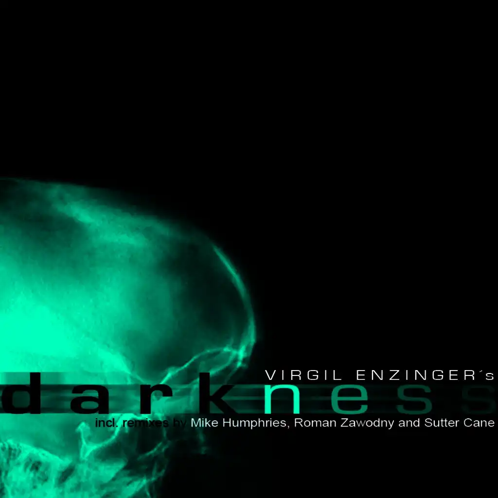 Darkness (Roman Zawodny Remix)