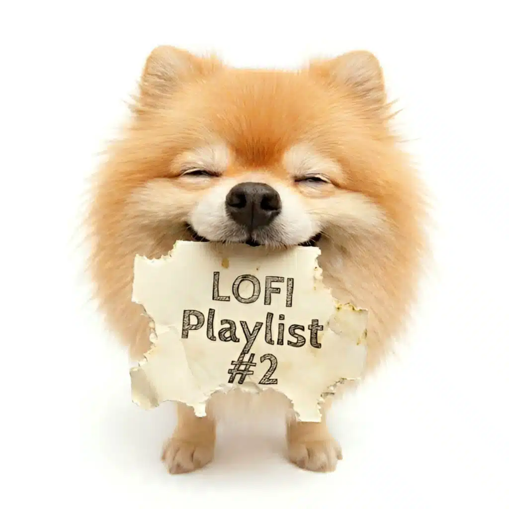 LOFI Playlist 2