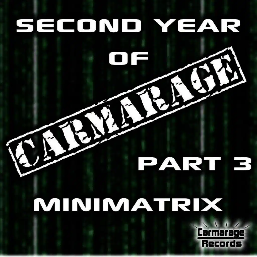 Second Year of Carmarage (Pt. 3)