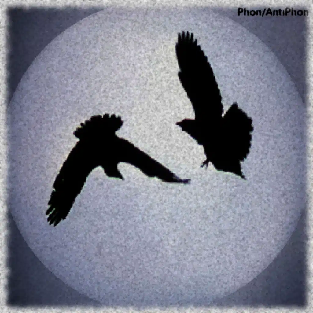 Ravens