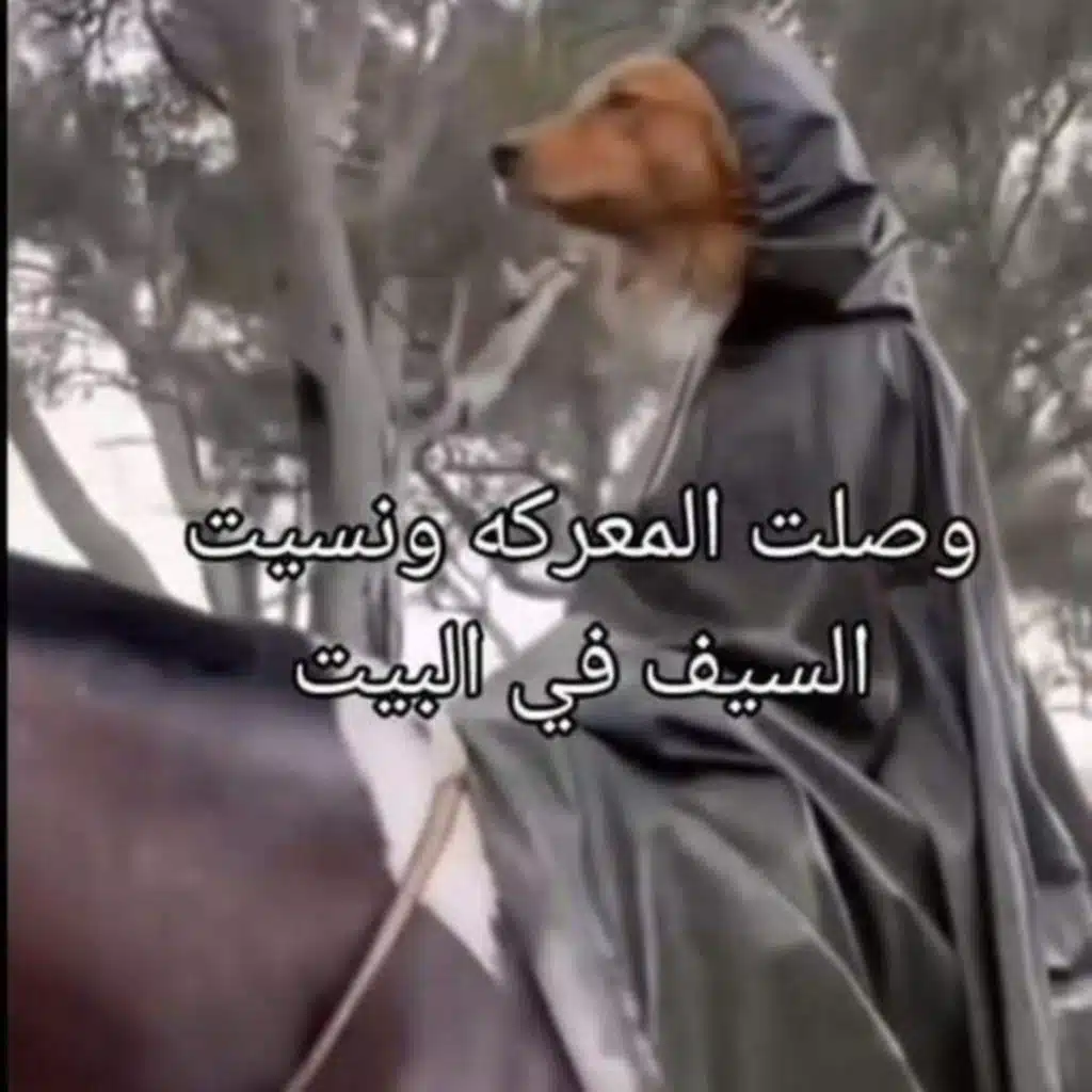 ما يحتويه اليأس من كمية ال لا بأس