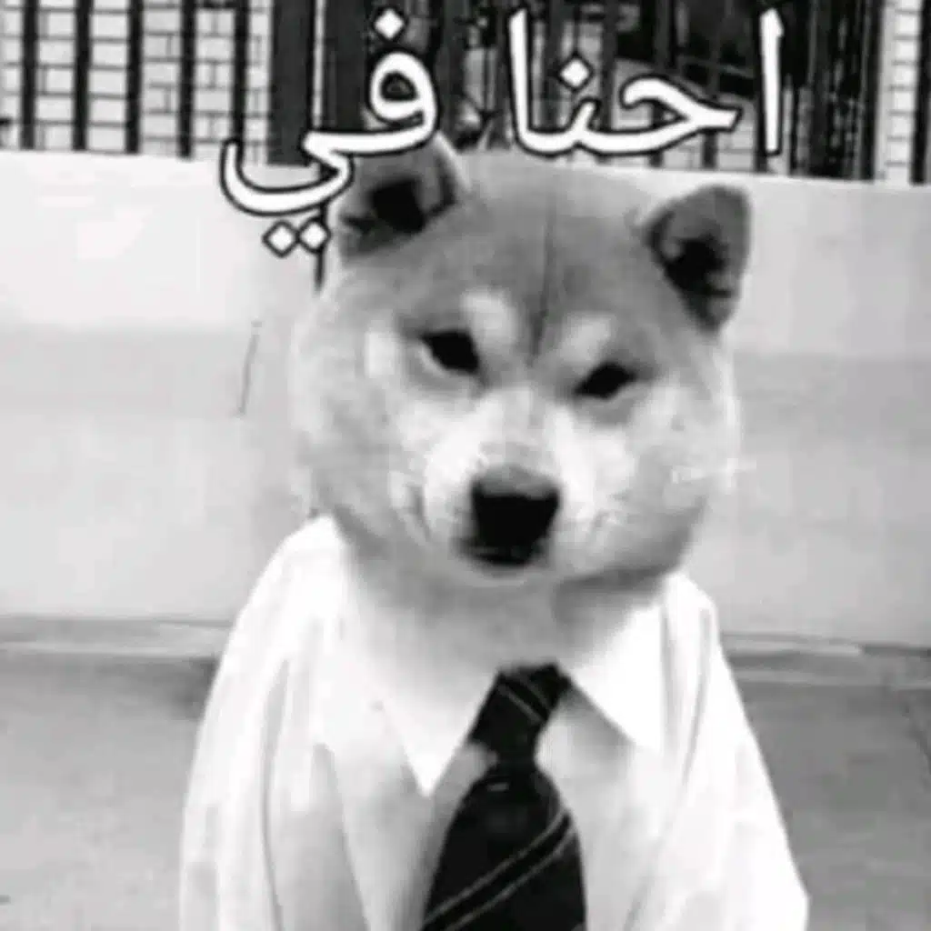 لا وقت ل الانهيار