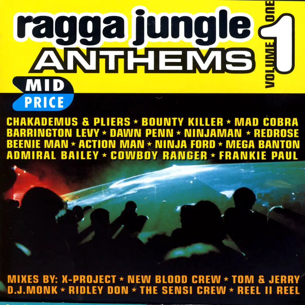 Ragga Jungle Anthems Vol. One