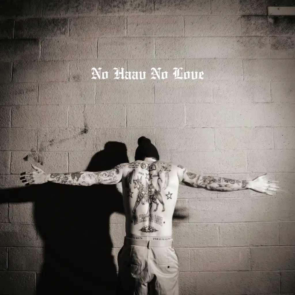 No Haav No Love