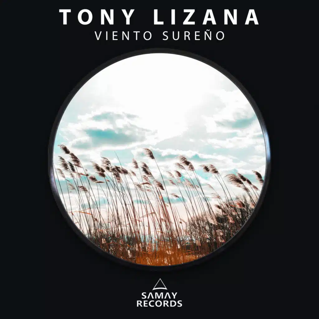 Tony Lizana