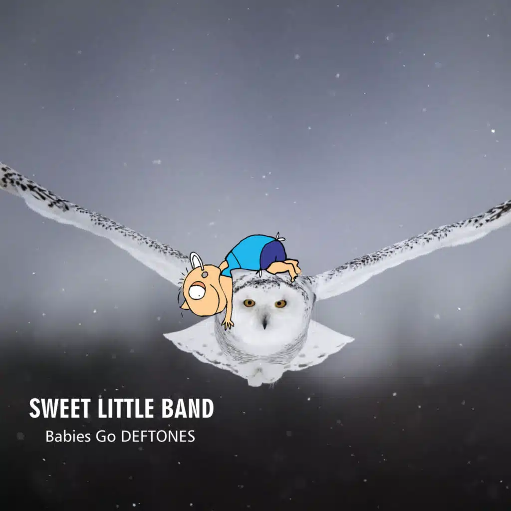 Sweet Little Band