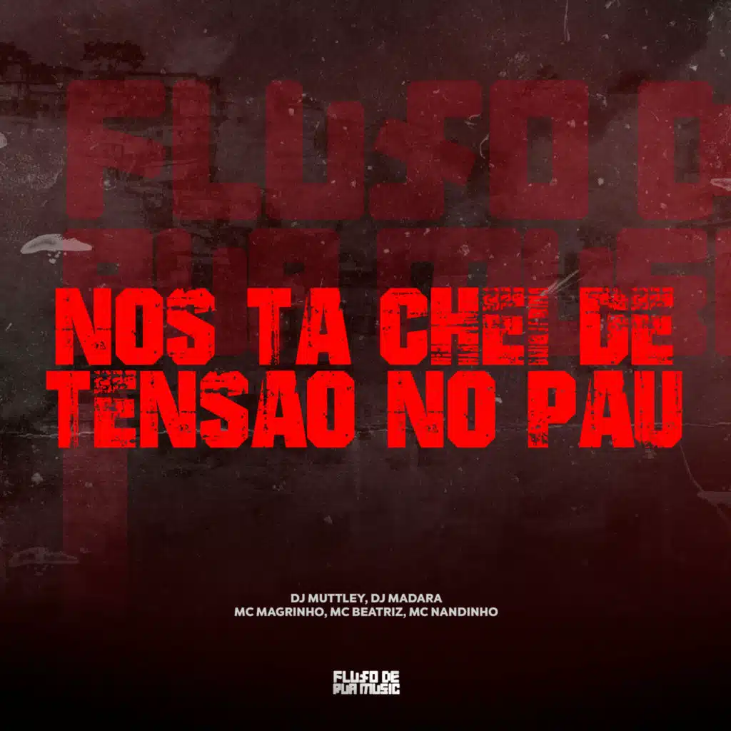 Nos Ta Chei de Tensao no Pau (feat. mc nandinho & MC MAGRINHO)