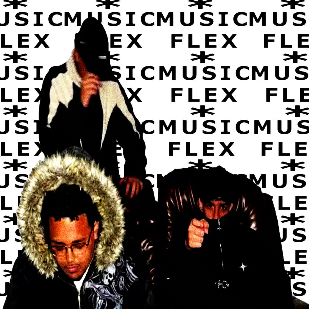 Flex Music