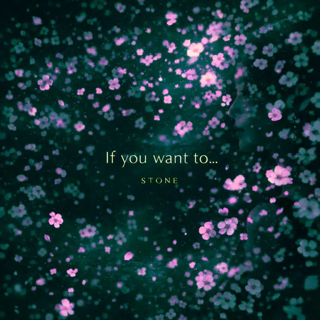 If You Want To…