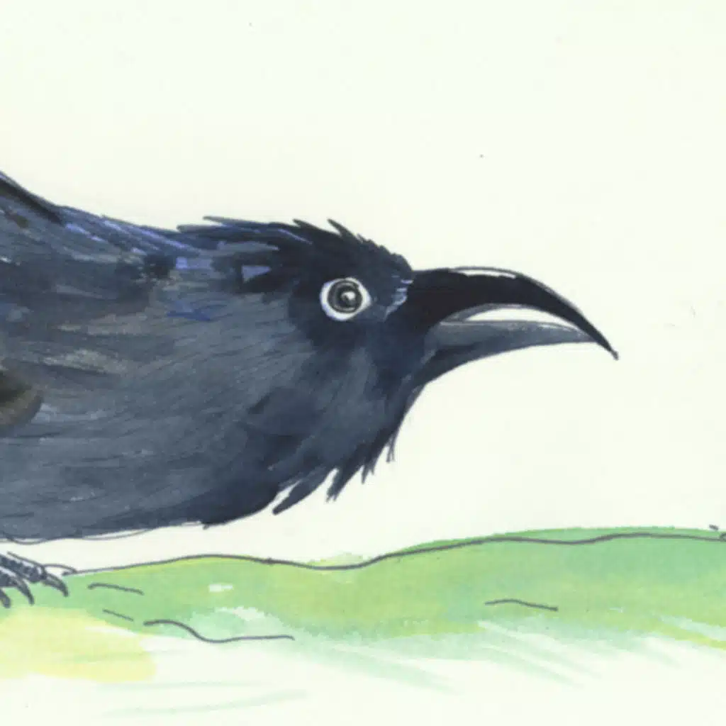 Encore: The Fire On The Other Side Of The World