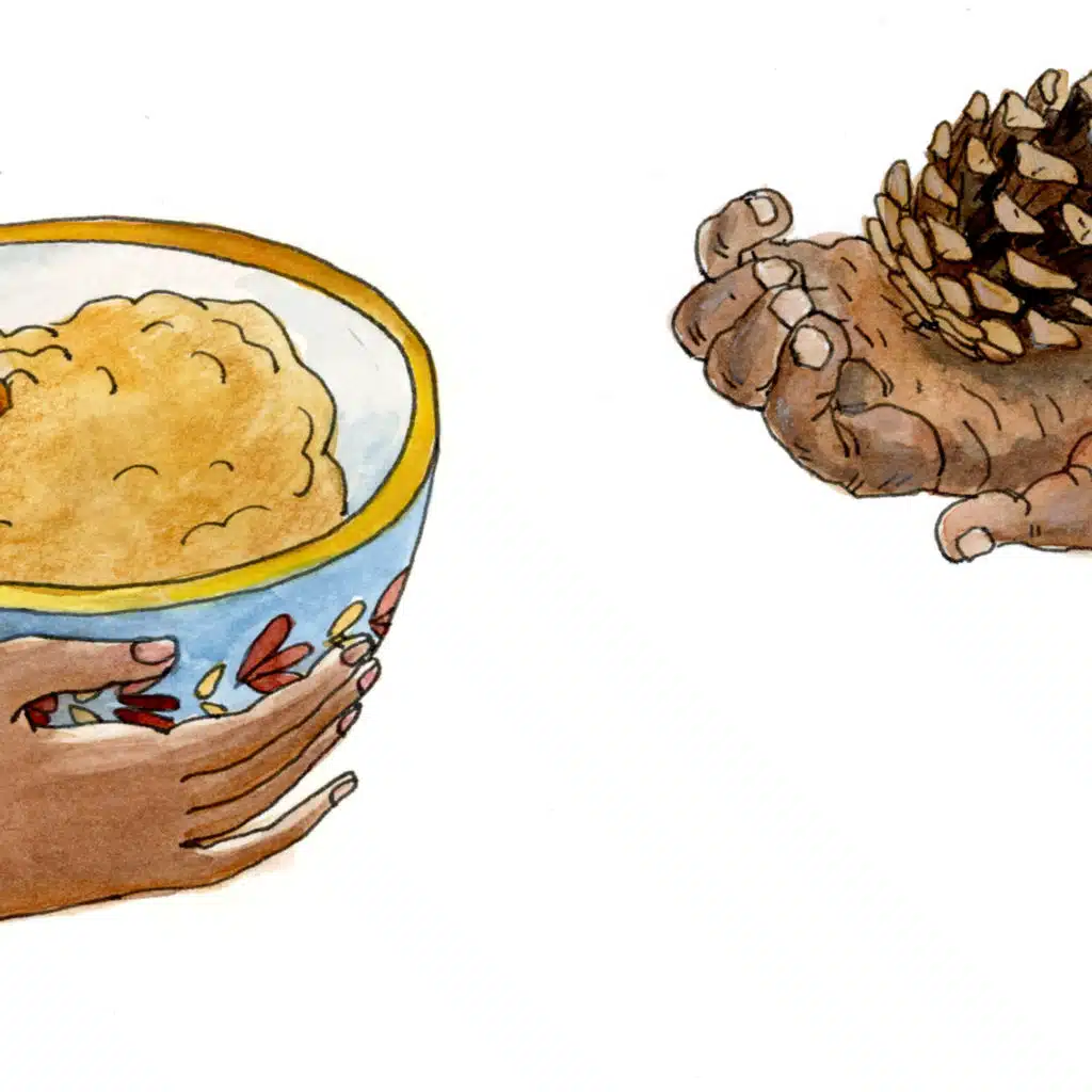 The Extraordinary Pine Cone feat. Kelly Jenrette & John Carroll Lynch