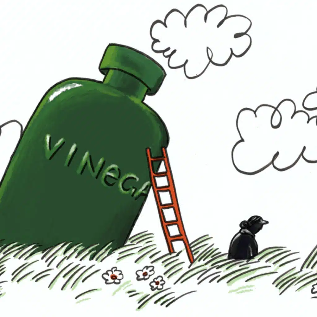 Encore: 'The Woman Who Lived In A Vinegar Bottle' feat. Sela Ward