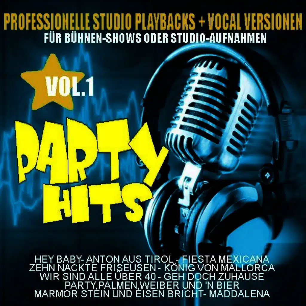 Hey Baby (Playback Version)