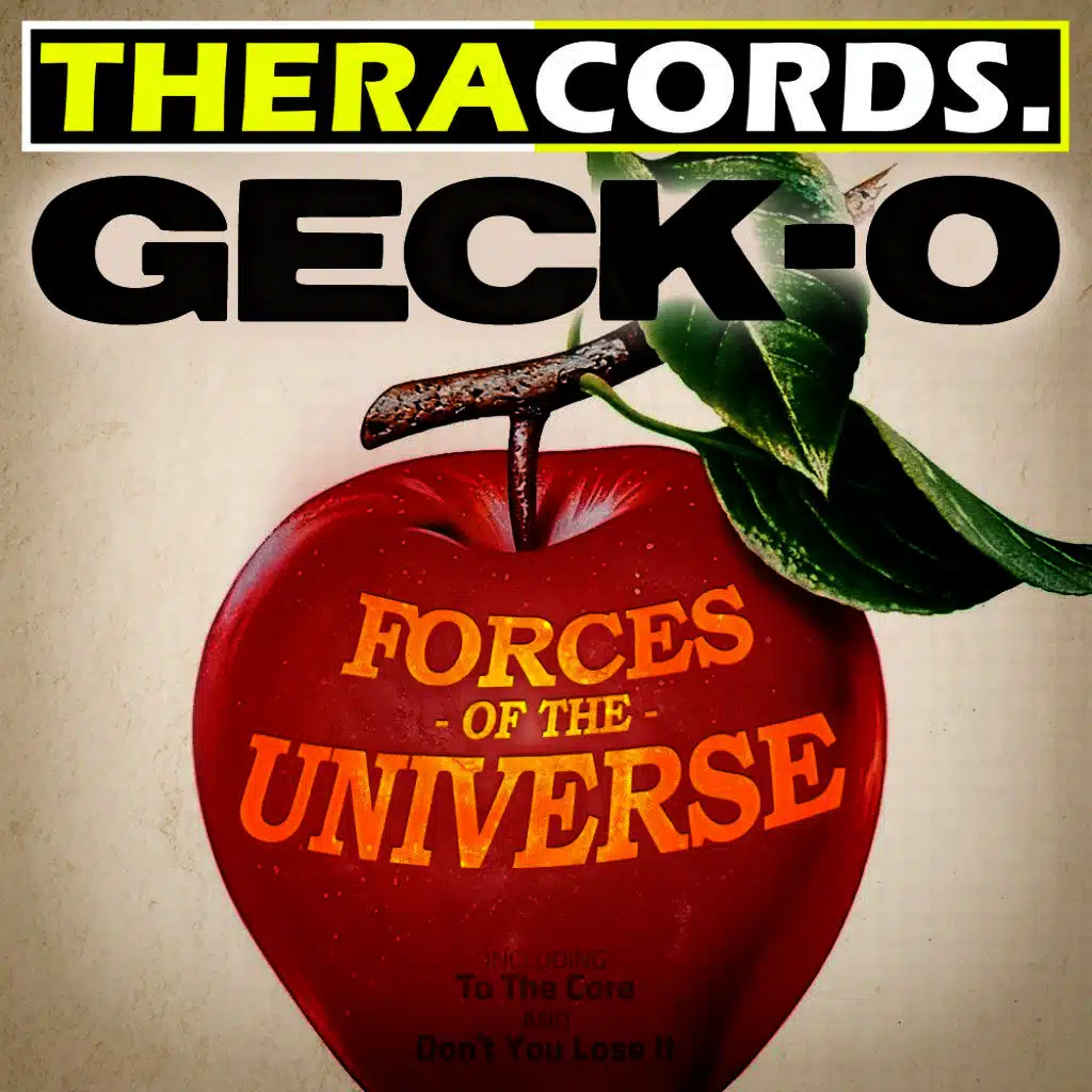 Forces of the Universe