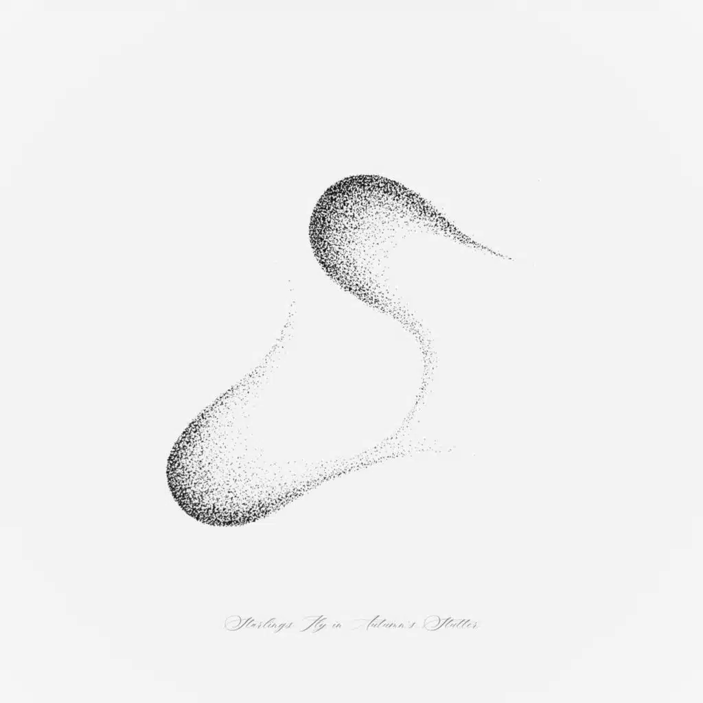 أشكان موسوي