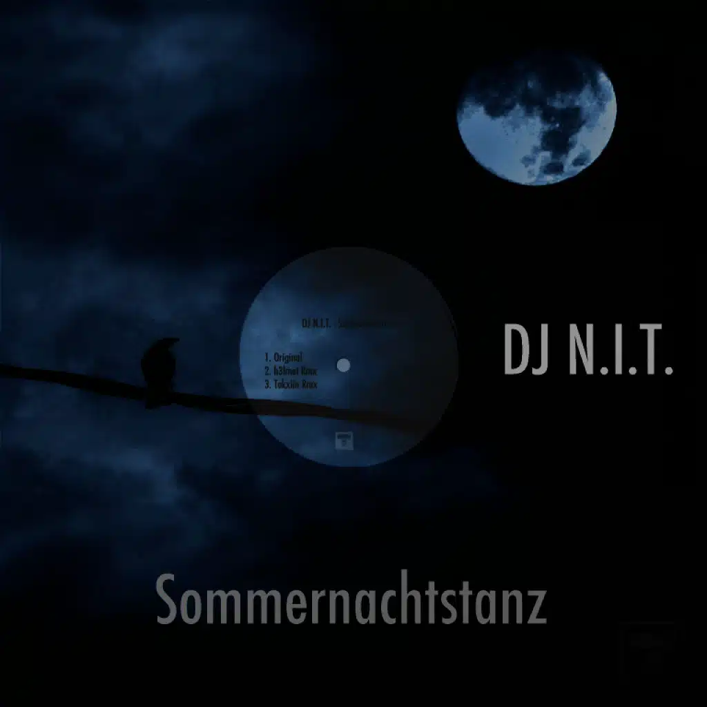 Sommernachtstanz