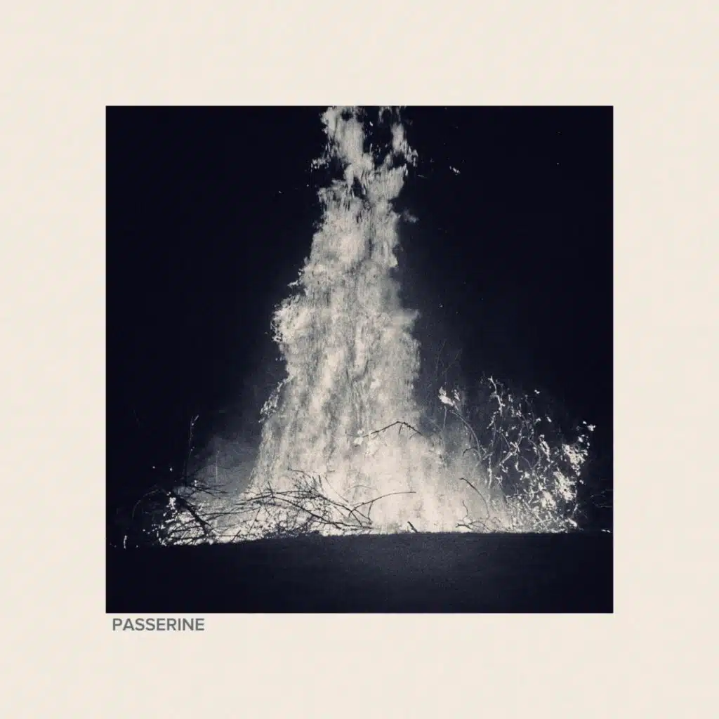 Passerine